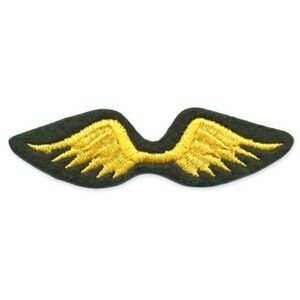 Brownie Girl Scout Wings Patch